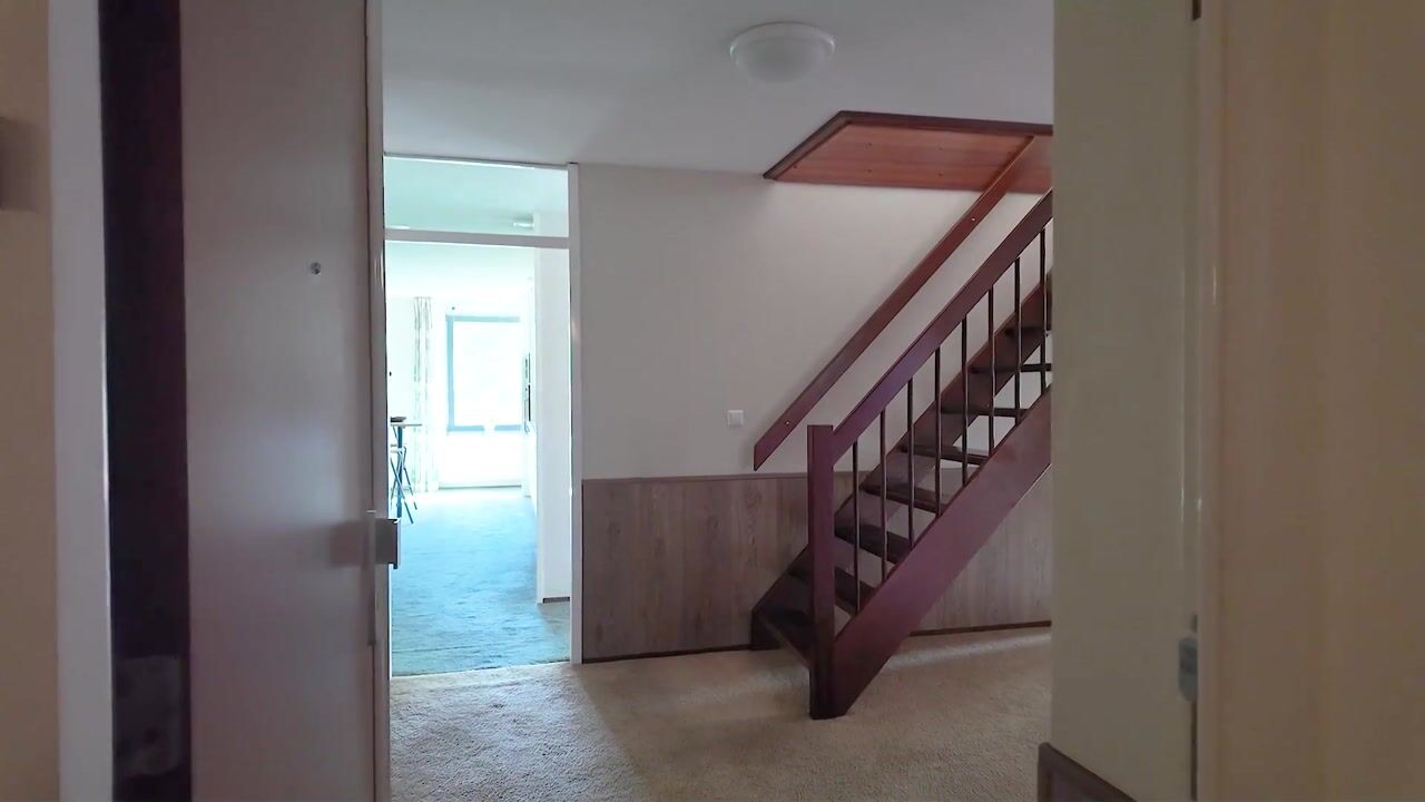 Video of Mahoniehout 17