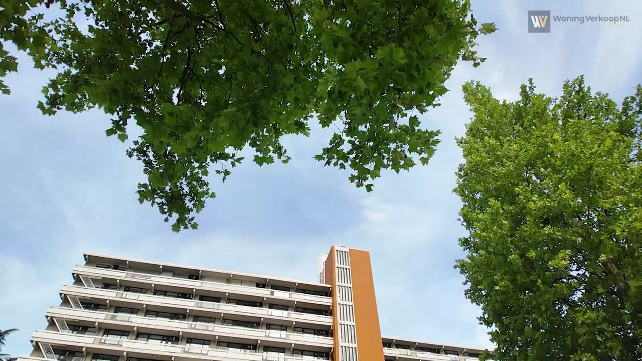 Video of de Koppele 287