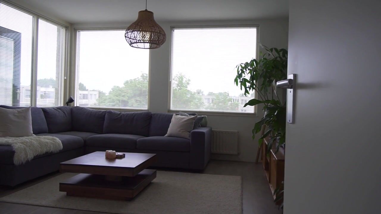 Video of S. van Ravesteynstraat 100