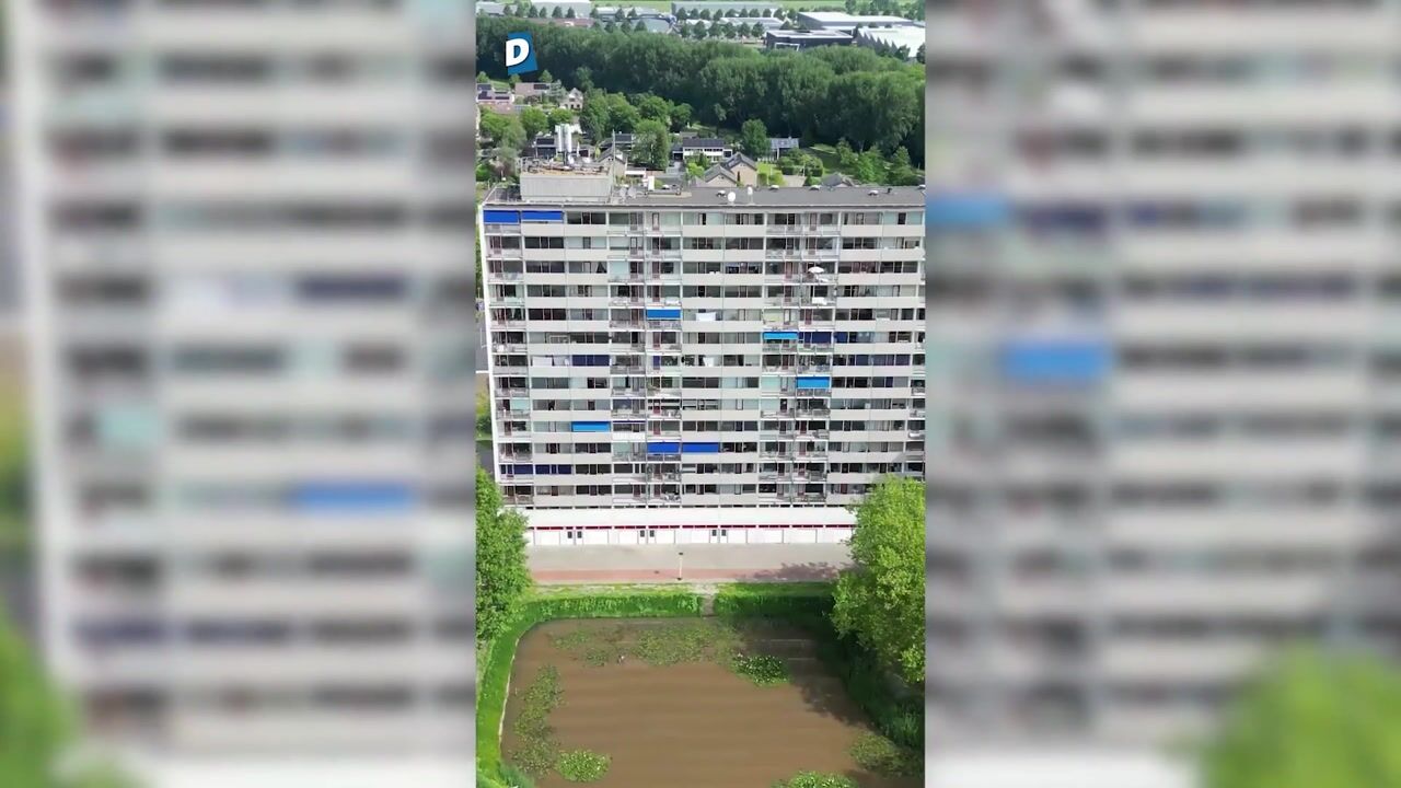 Video of Tjaarda 30