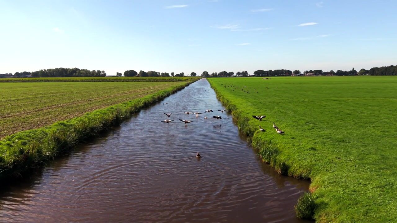 Video van 't Lijntje 22