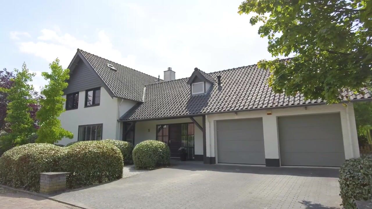 Video van Steenbok 5