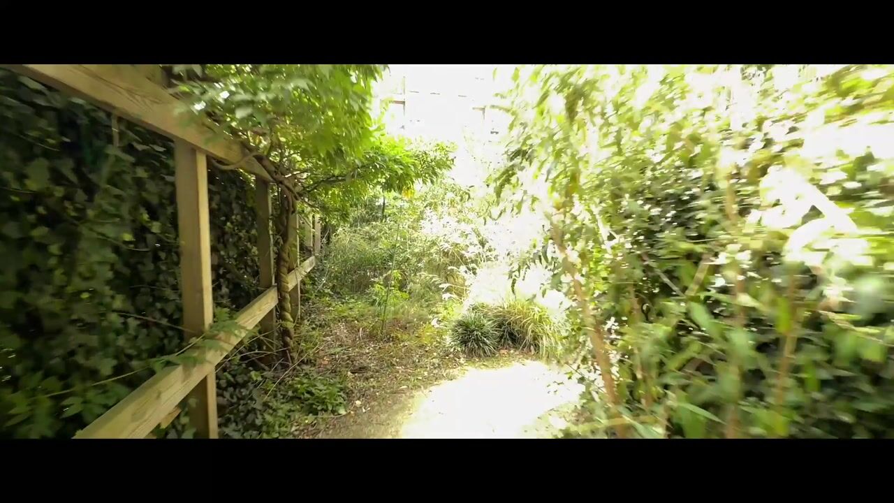 Video van Overtoom 479