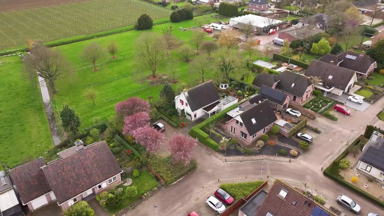 Video van Kamillekamp 47