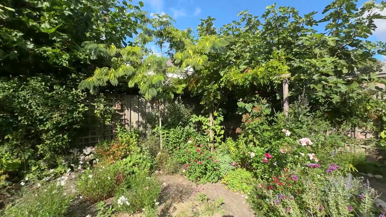 Video of Willem Andriessenlaan 11