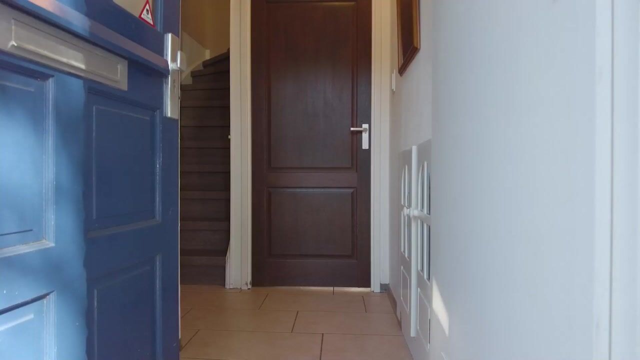 Video van Zwaluwtong 104