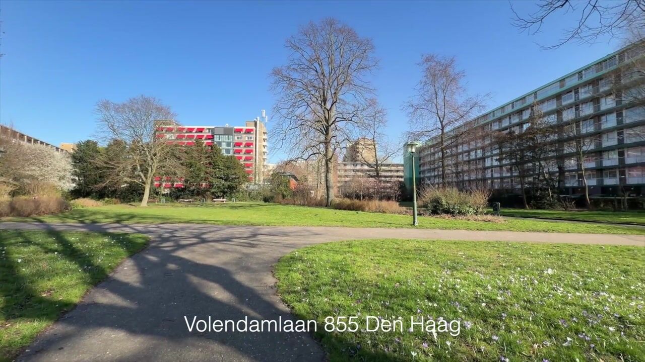 Video van Volendamlaan 855