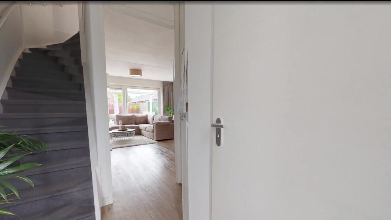 Video van Moerasvaren 2
