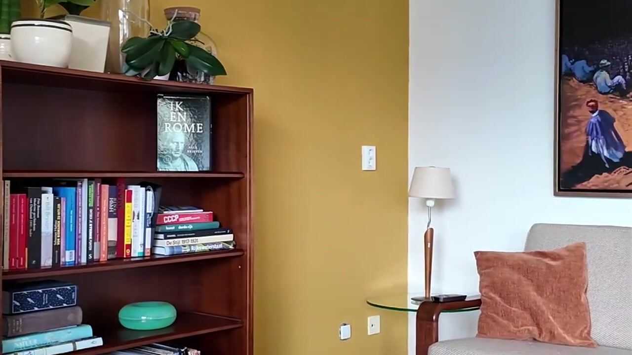 Video van Rochussenstraat 231-D