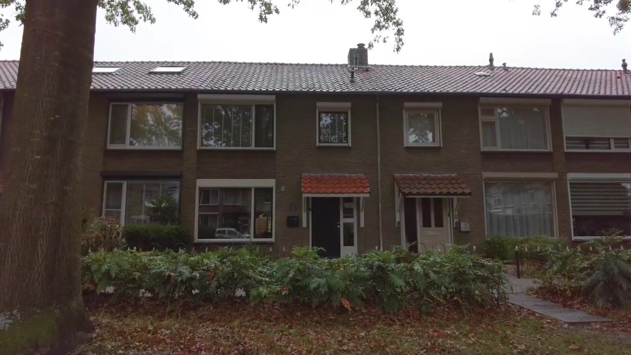 Video van Zwanensingel 108