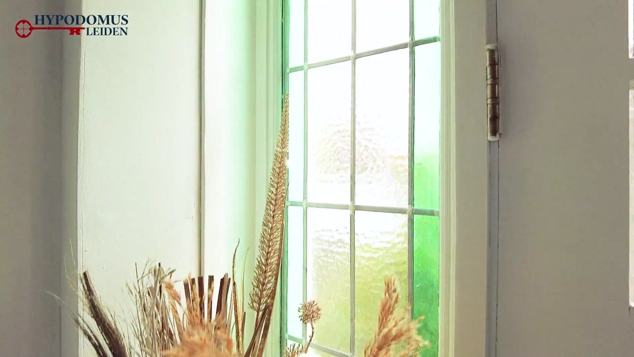 Video of Steenbakkerslaan 14