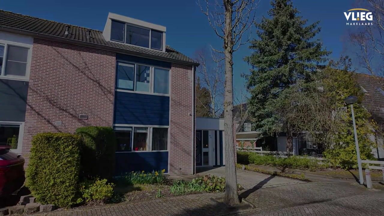 Video van Schoener 43 25