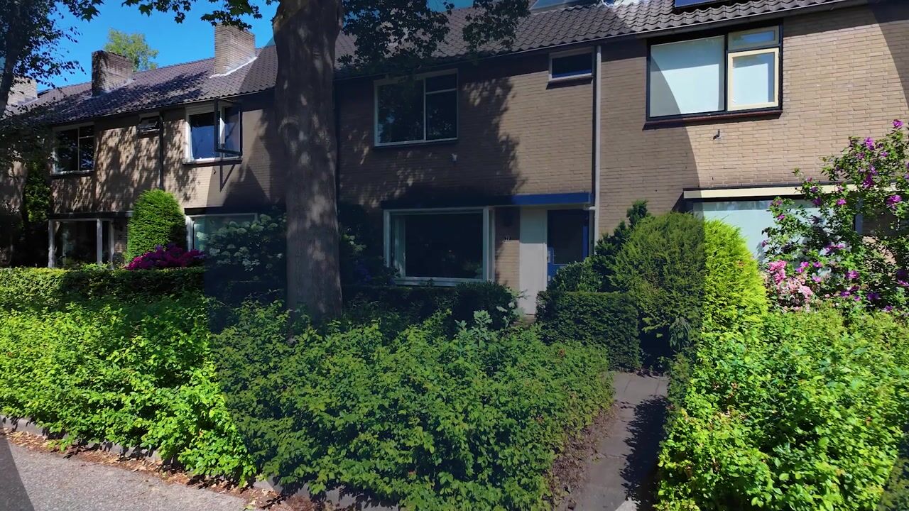 Video van Driespronglaan 29