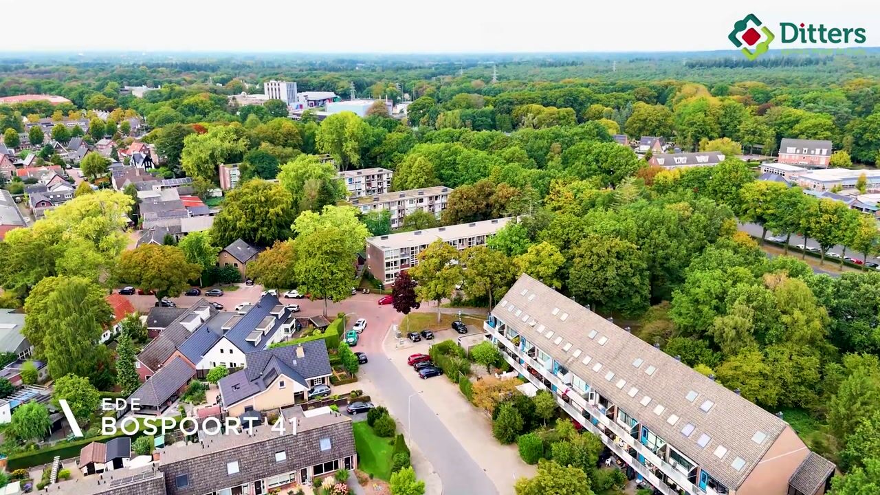Video van Bospoort 41