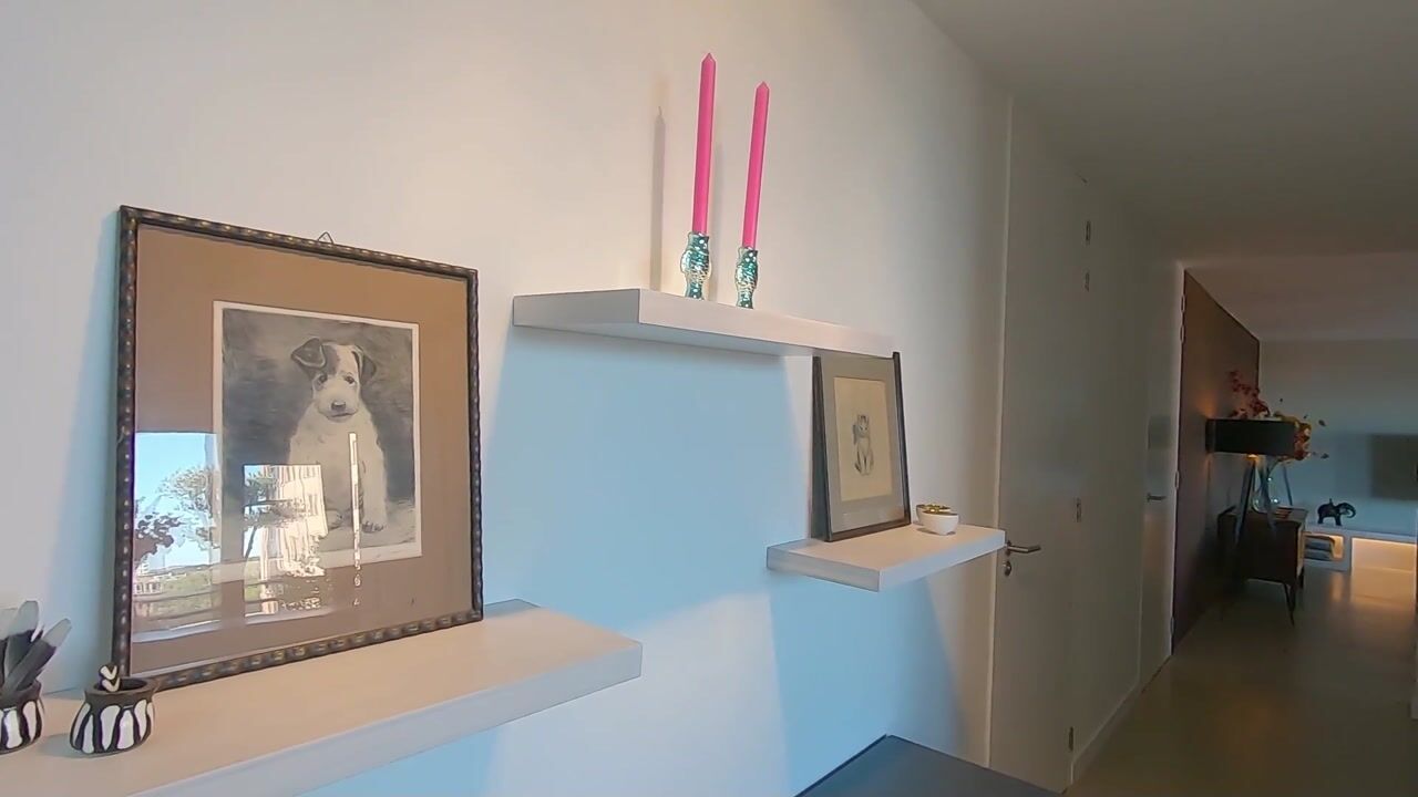 Video van Leeghwaterlaan 59