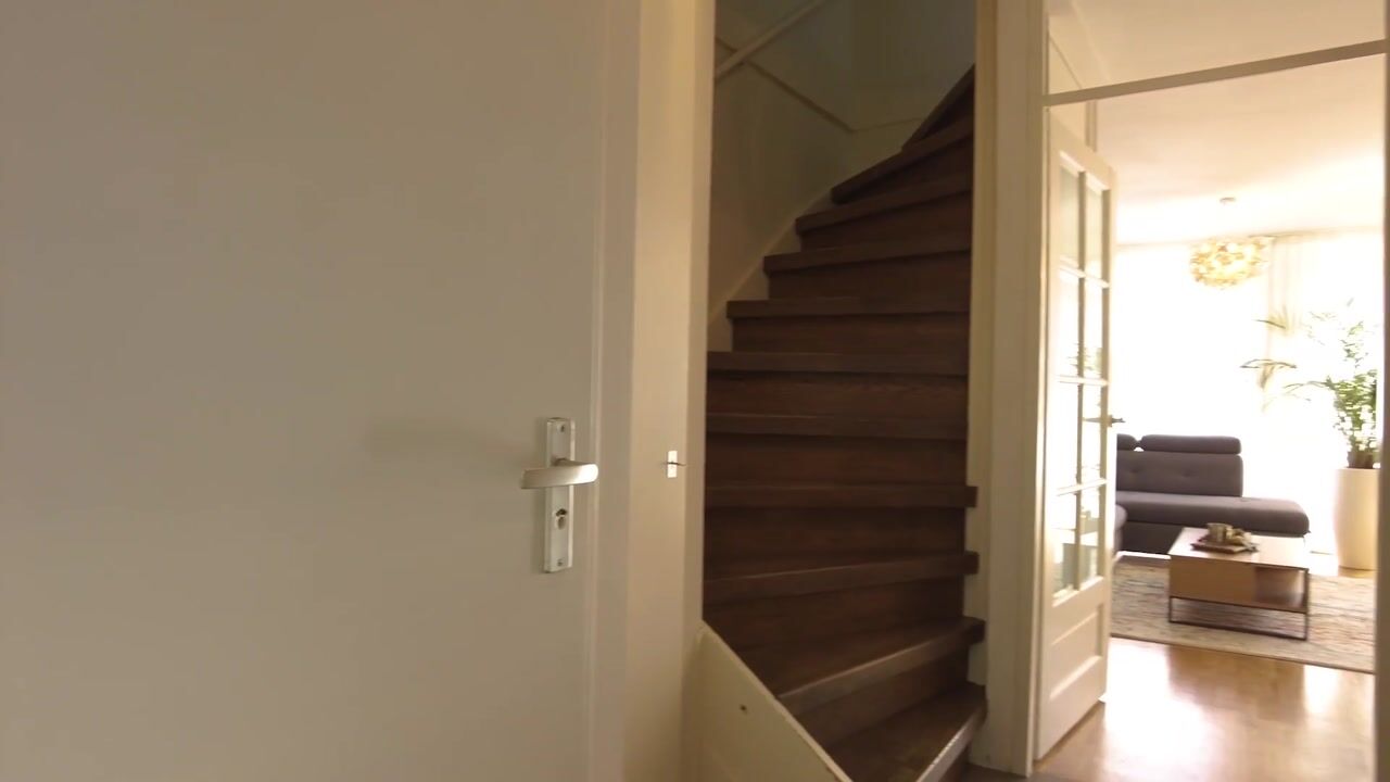 Video van Schelfhout 3
