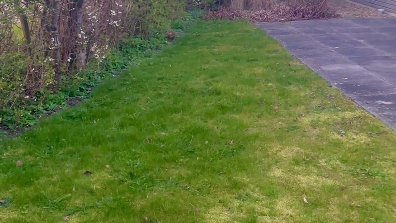 Video van Pipeluurseweg 8-D10