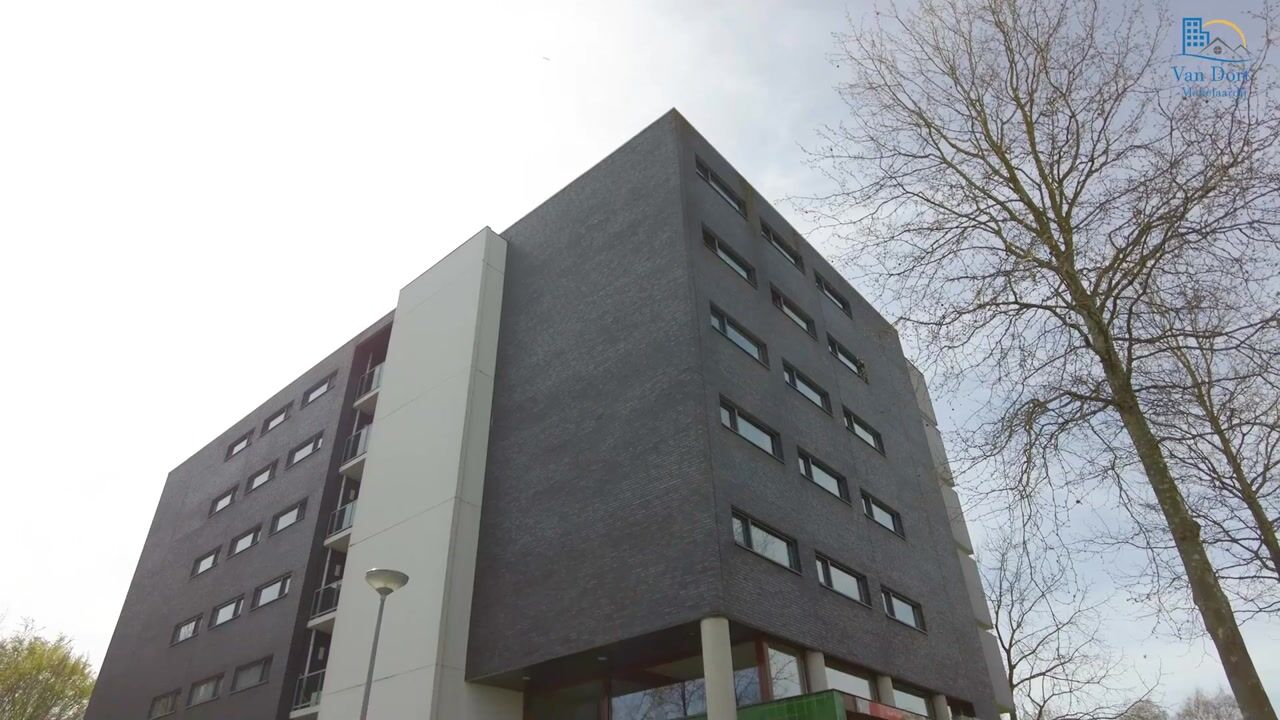 Video van Salsastraat 153