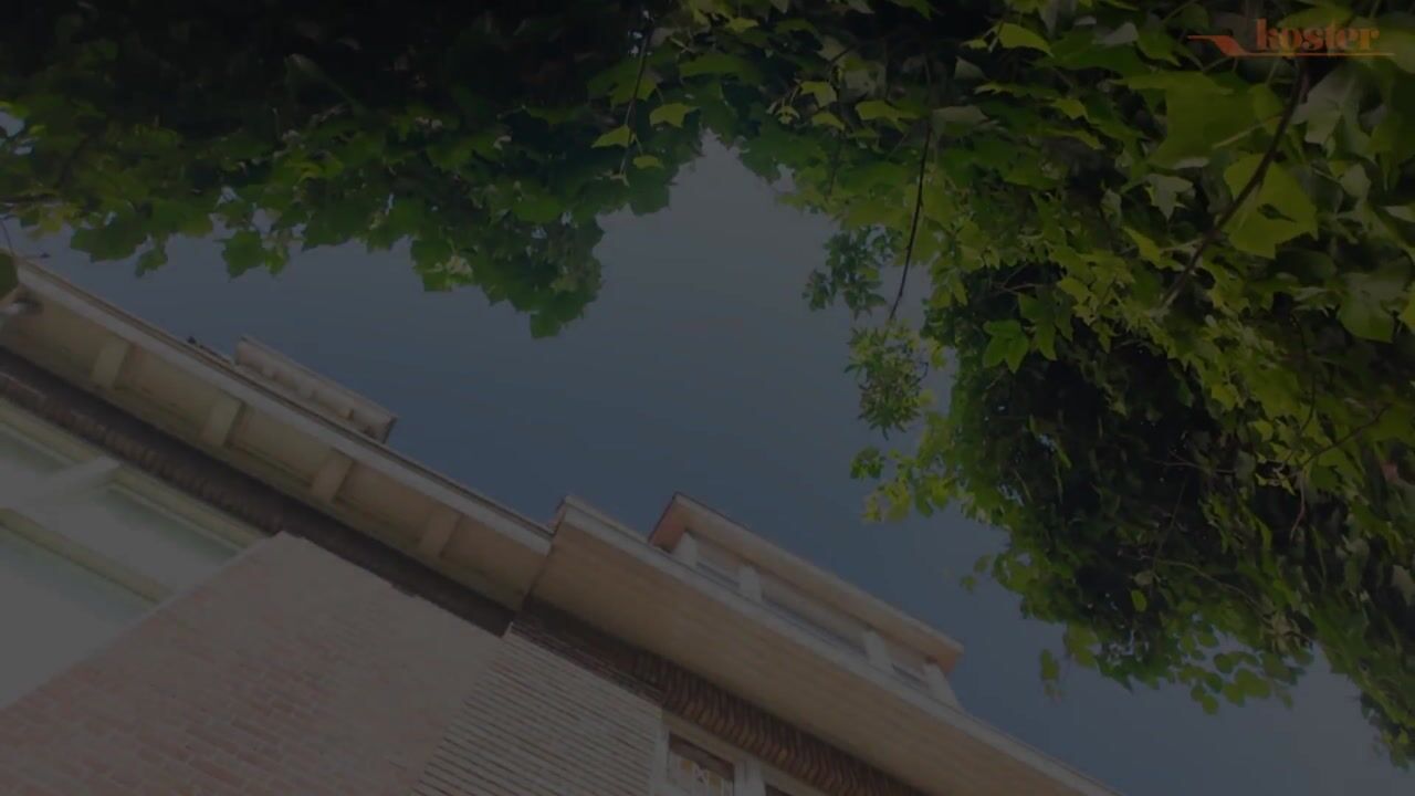 Video van Helmsteeg 12