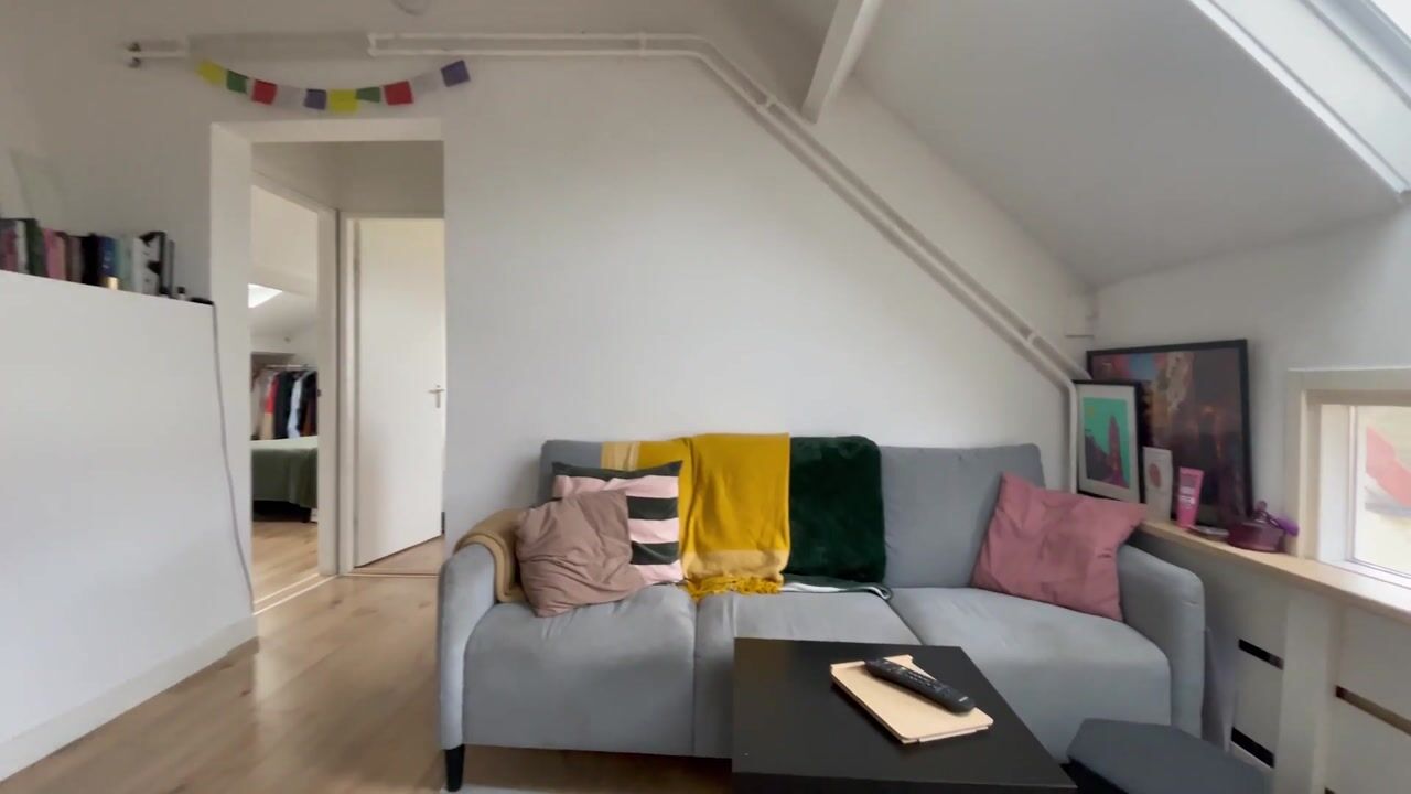 Video of Vianenstraat 166-B