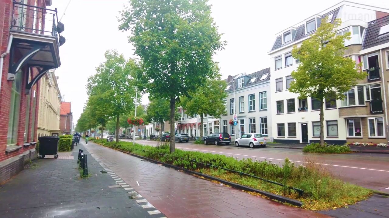 Video van Biltstraat 158