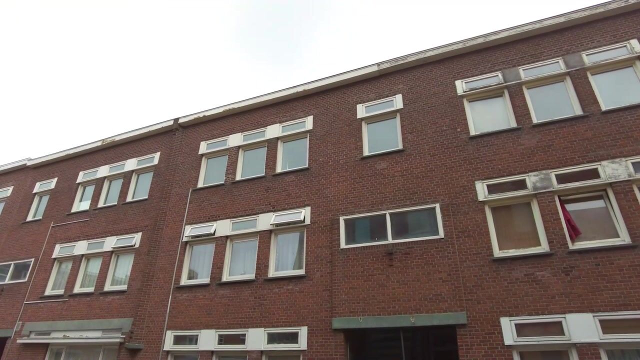 Video of Hillegondastraat 10