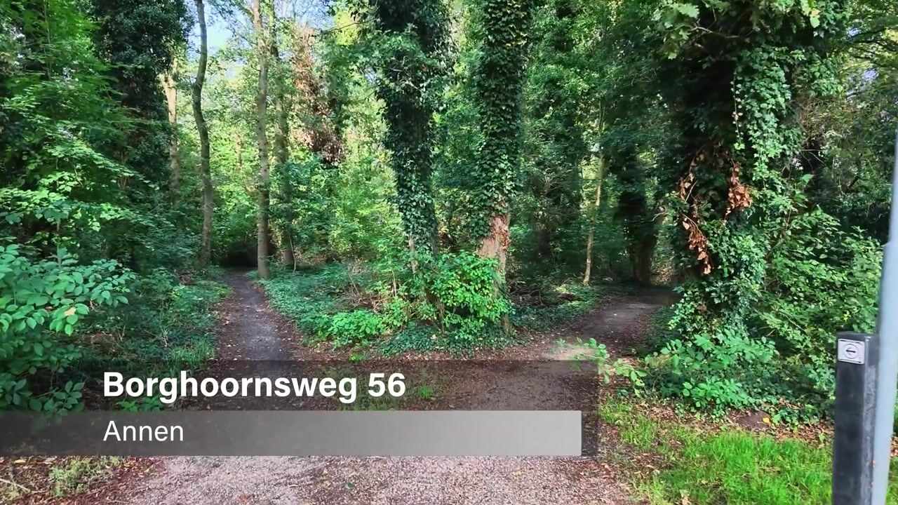 Video van Borghoornsweg 56