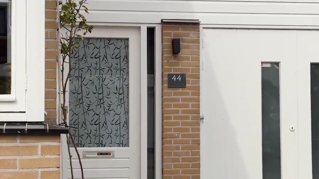 Video van De Zende 44