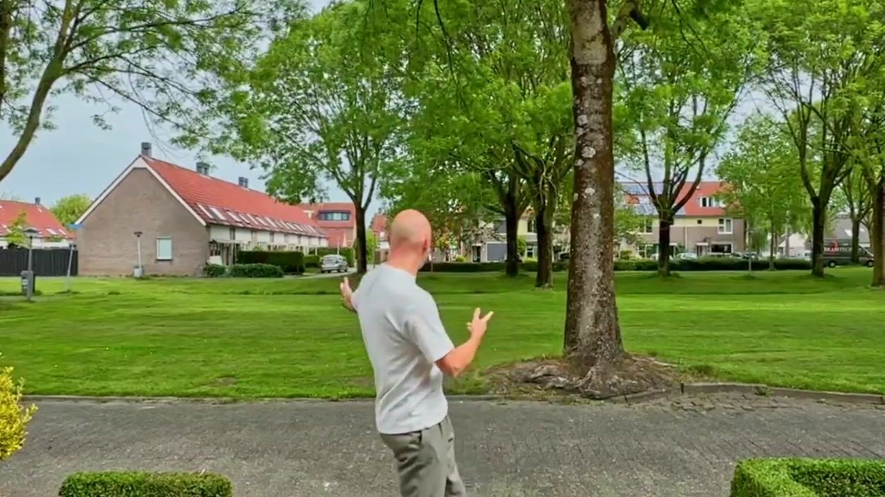 Video van Hogerlust 7