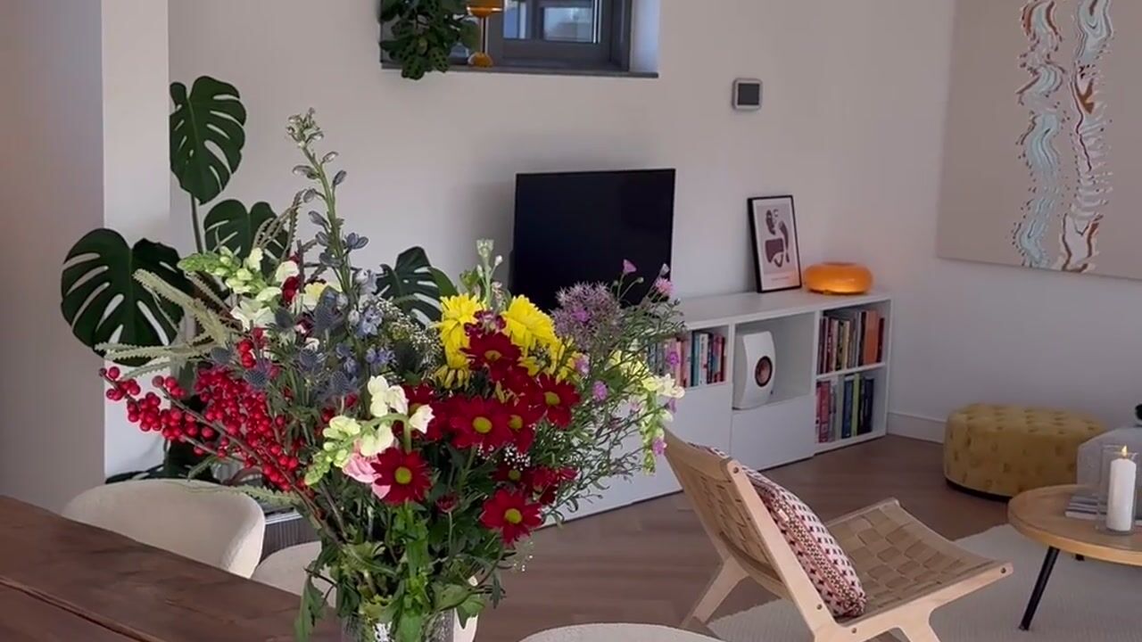 Video of Ter Laanstraat 5