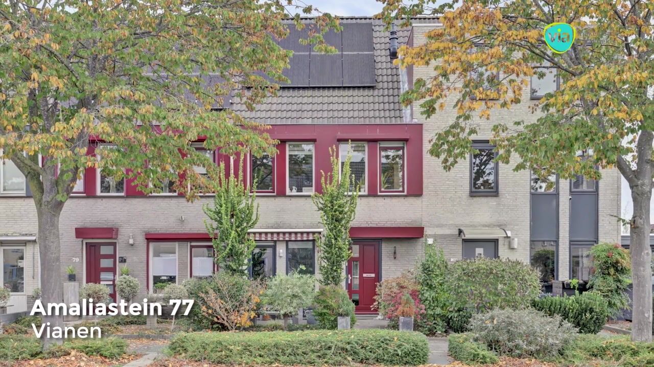 Video of Amaliastein 77