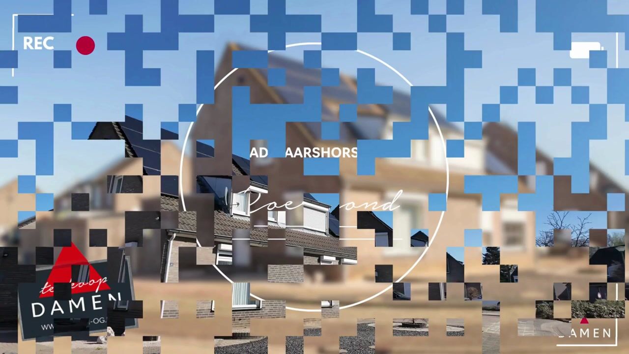 Video of Adelaarshorst 4