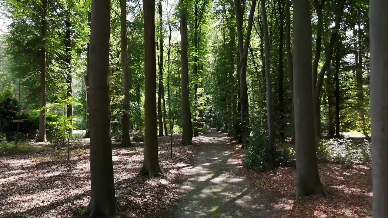Video van Finantiën 2