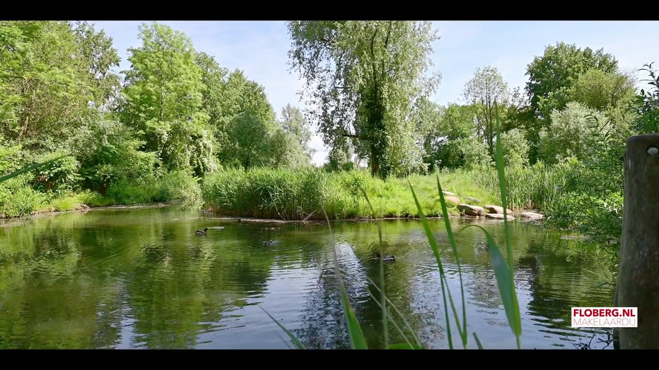 Video van Poolvos 25