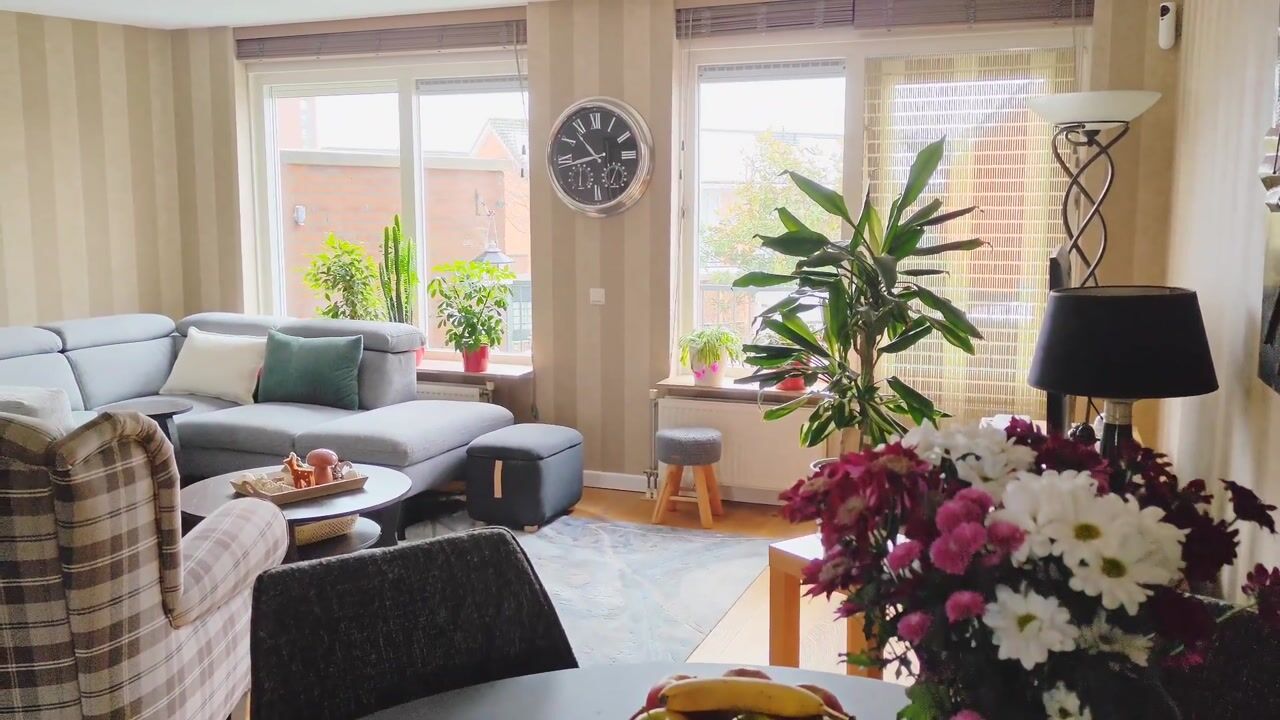 Video of Lijsterbeswede 79