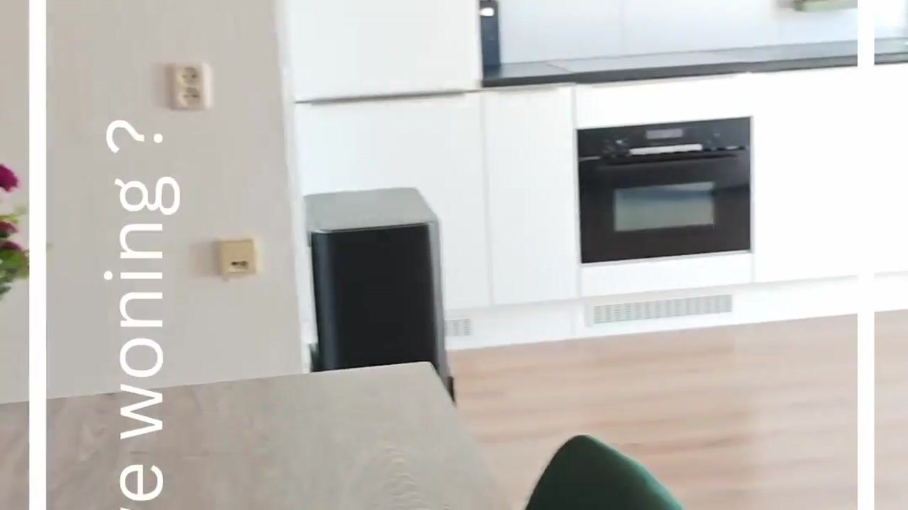 Video van De Gouden Leeuw 81