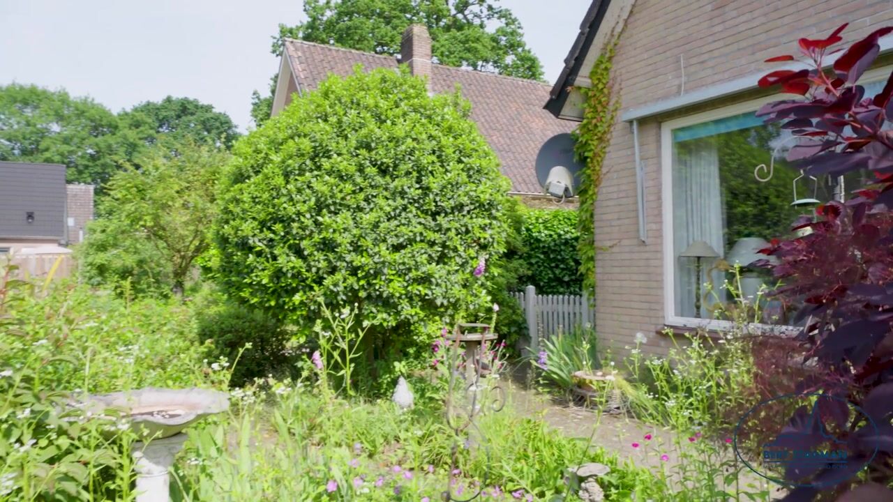 Video van Reimersstraat 10