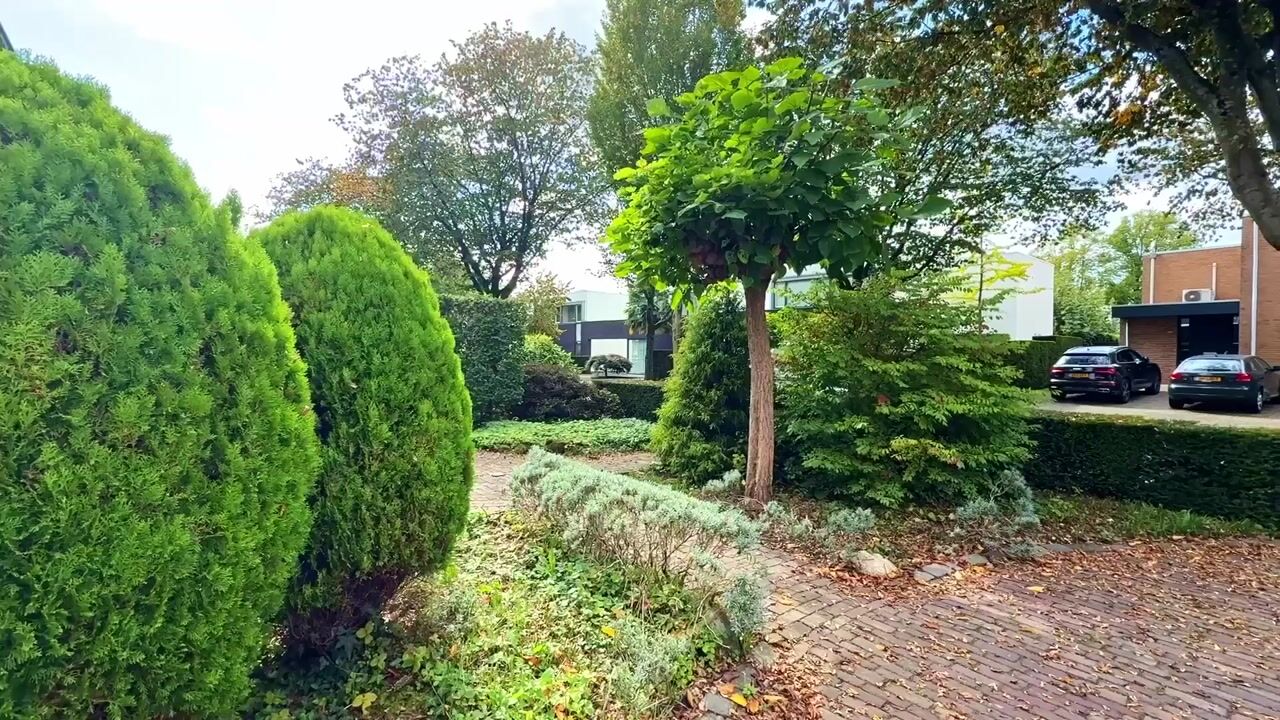 Video van Hambeek 51