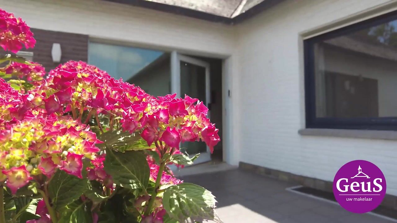 Video van Singel 51