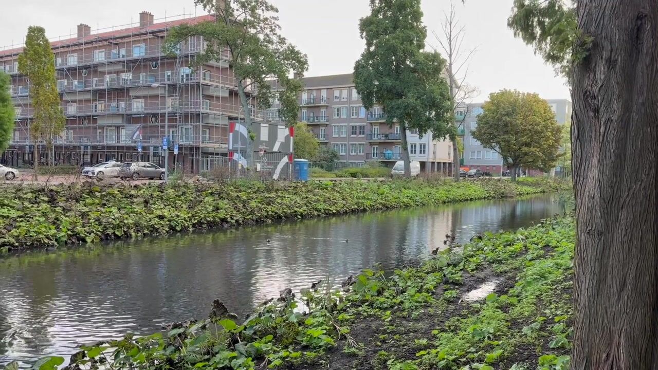 Video van Lex Althoffstraat 21-1