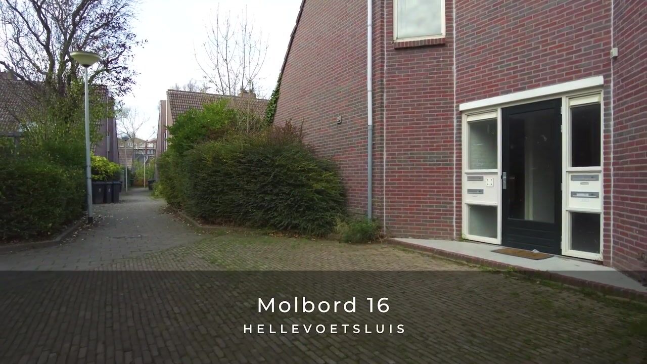 Video van Molbord 16