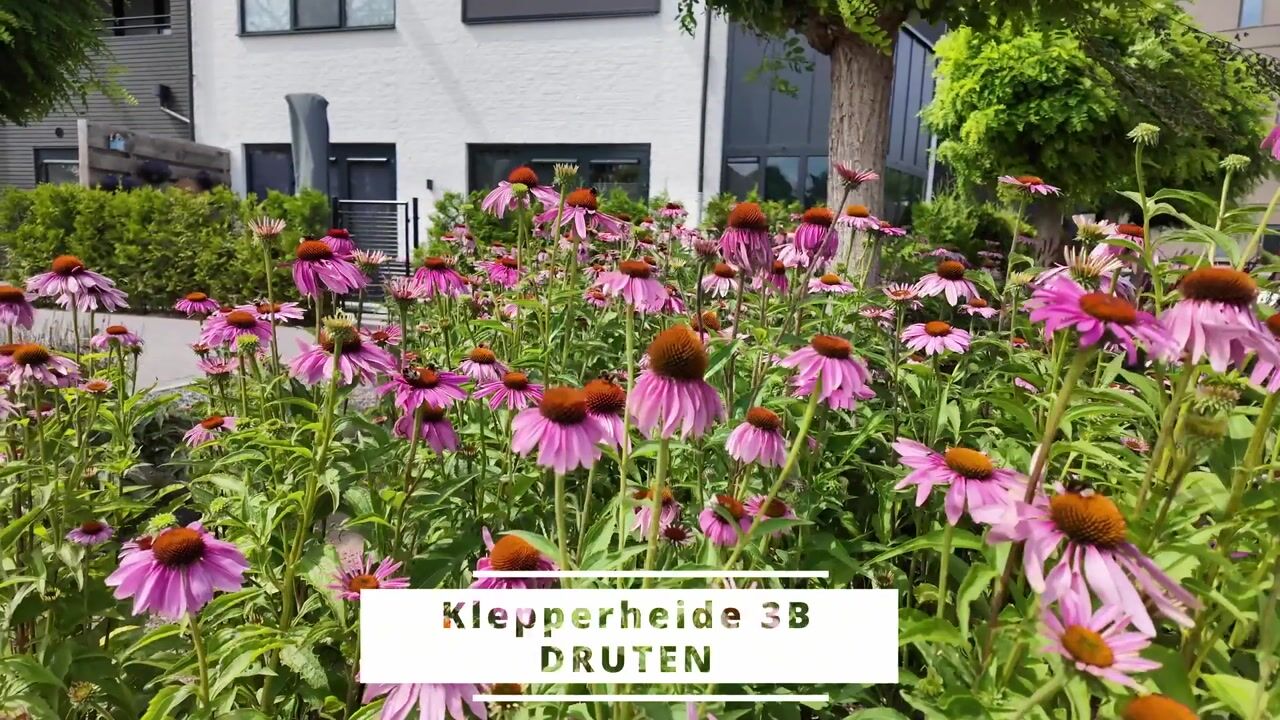 Video van Klepperheide 3-B