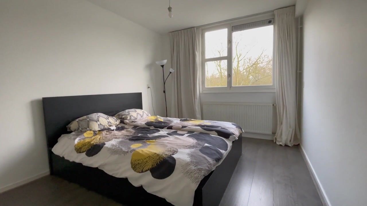 Video van Wamelstraat 135