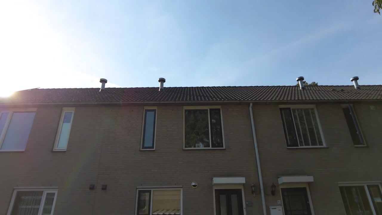 Video van Dilleveld 97