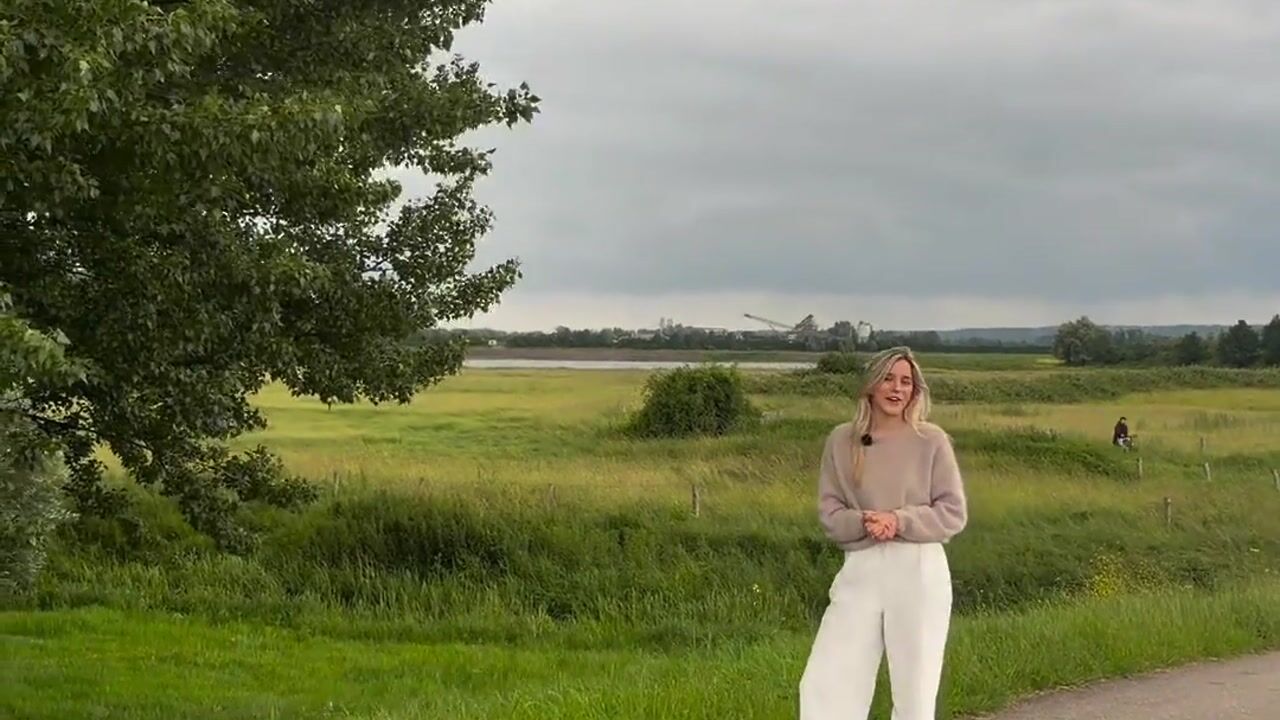 Video of Iepenlaan 14