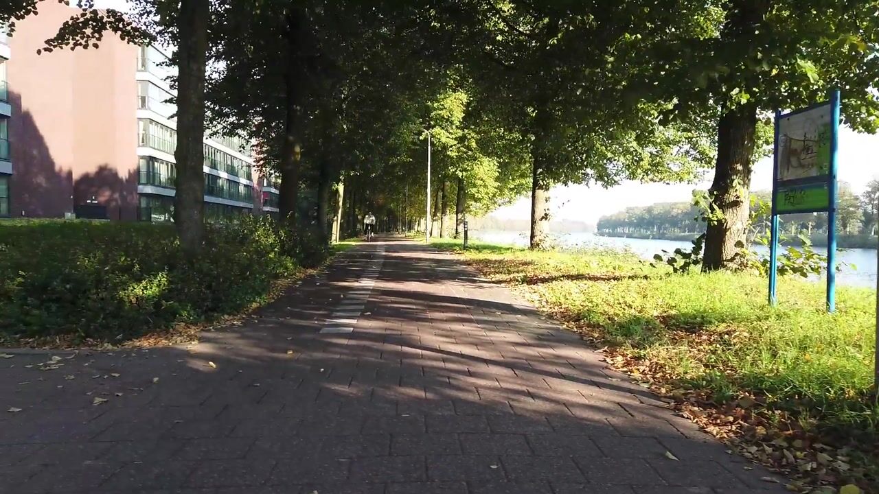 Video van Draaiom 50