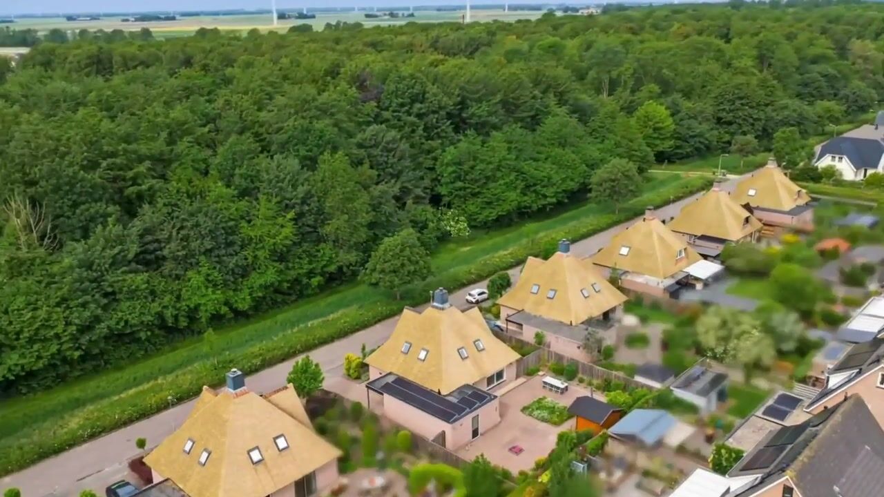 Video van Zwanebloem 62