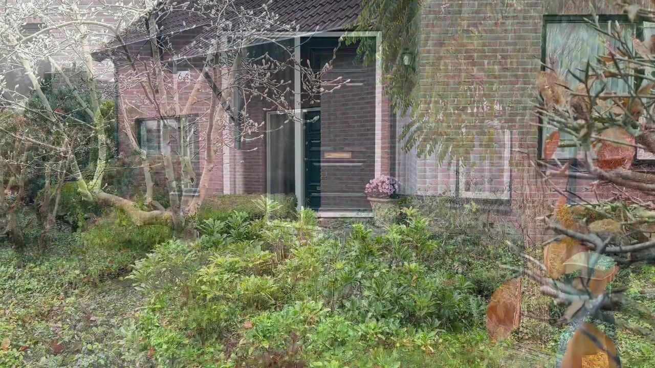 Video of Ringlaan 64