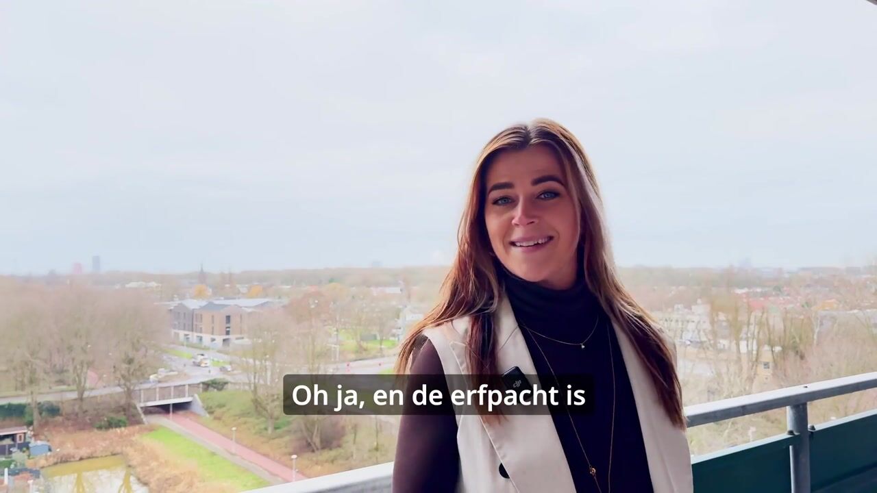 Video of Loenermark 138