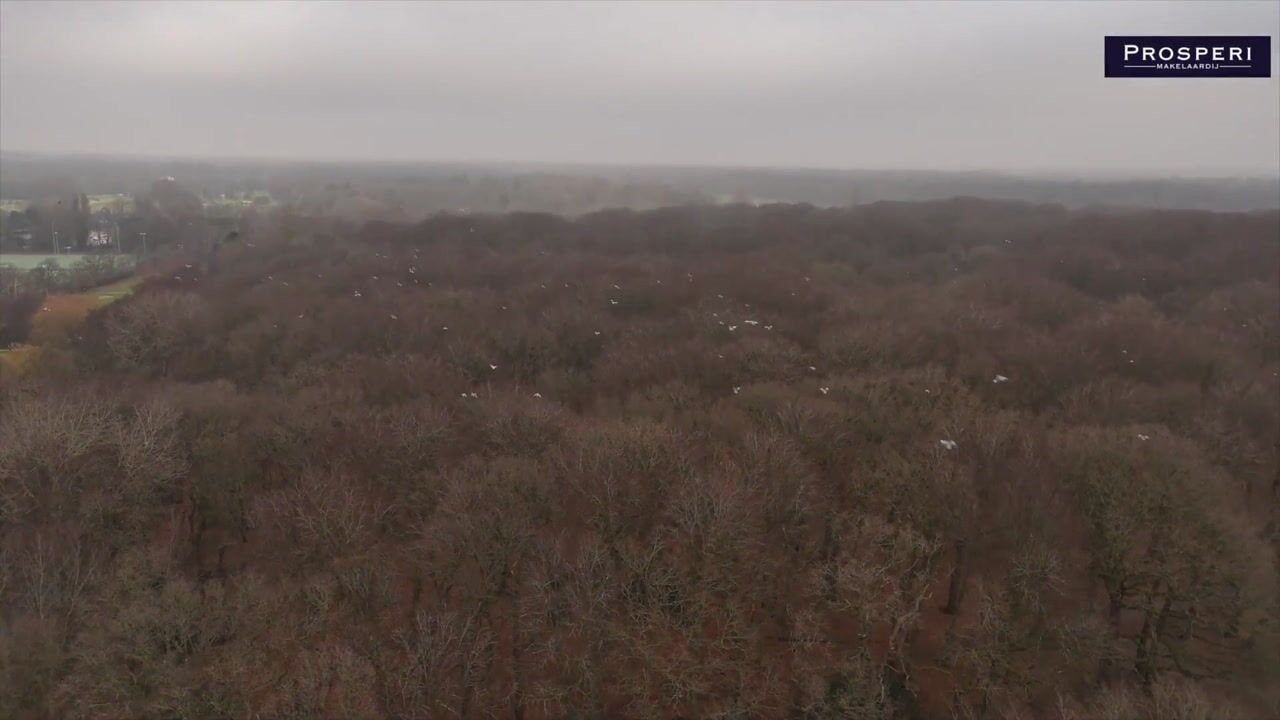 Video van Jan Muschlaan 200